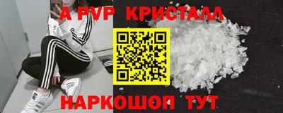 соль ск Новозыбков