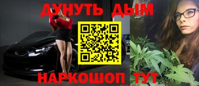 соль ск Новозыбков