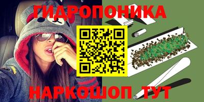 стафф Новокубанск