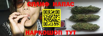 соль ск Новозыбков