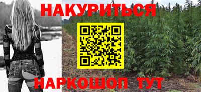 стафф Новокубанск