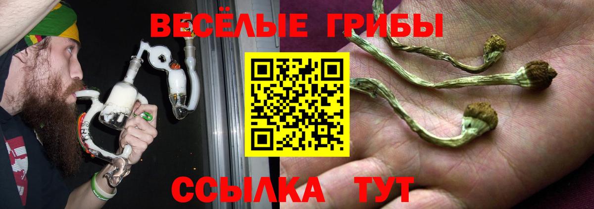 Галлюциногенные грибы прущие грибы Урай